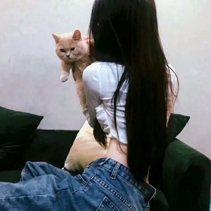 恭喜你发财